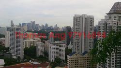 Soleil @ Sinaran (D11), Condominium #88391242